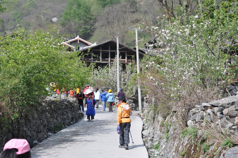 DSC_0073.JPG