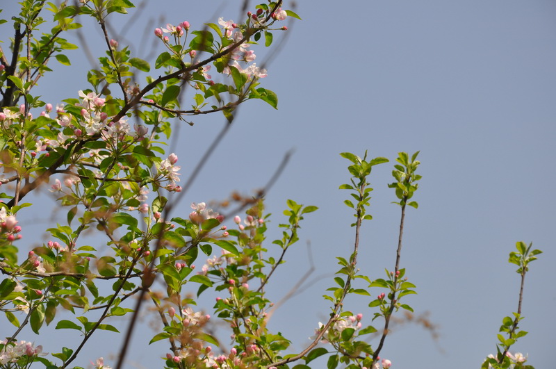 DSC_0075.JPG