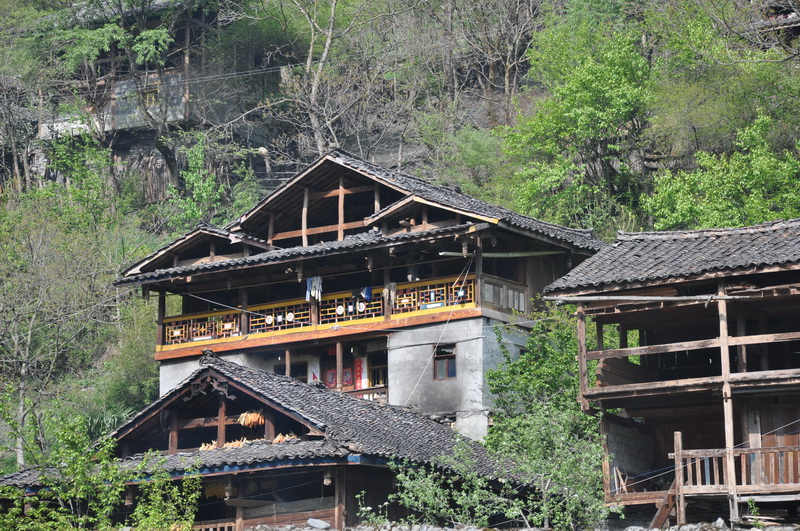 DSC_0119.JPG
