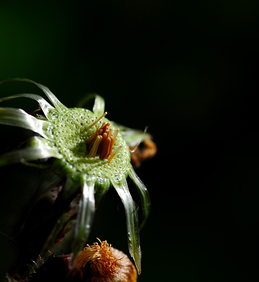 DSC_0302.jpg