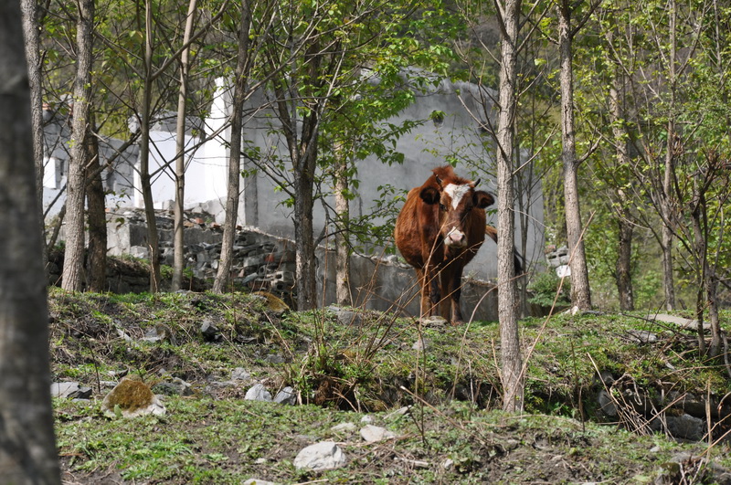 DSC_0176.JPG