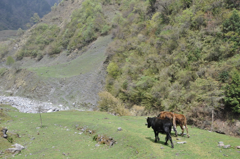 DSC_0215.JPG
