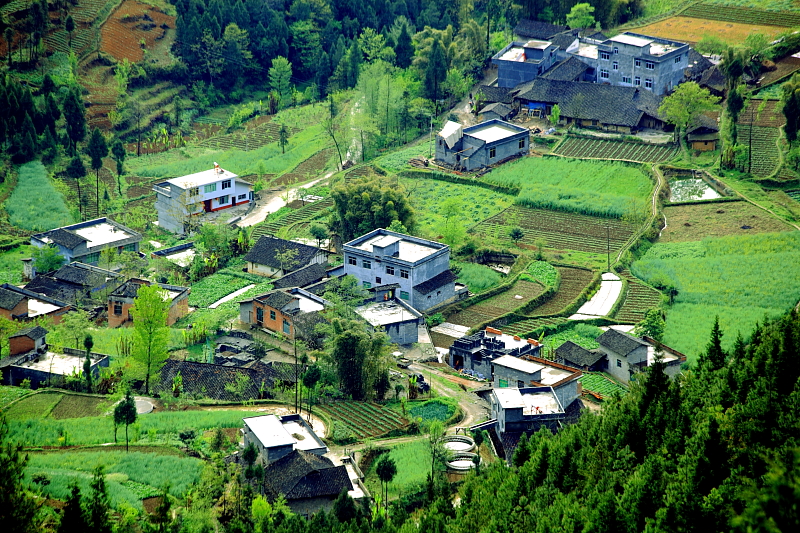 19.JPG
