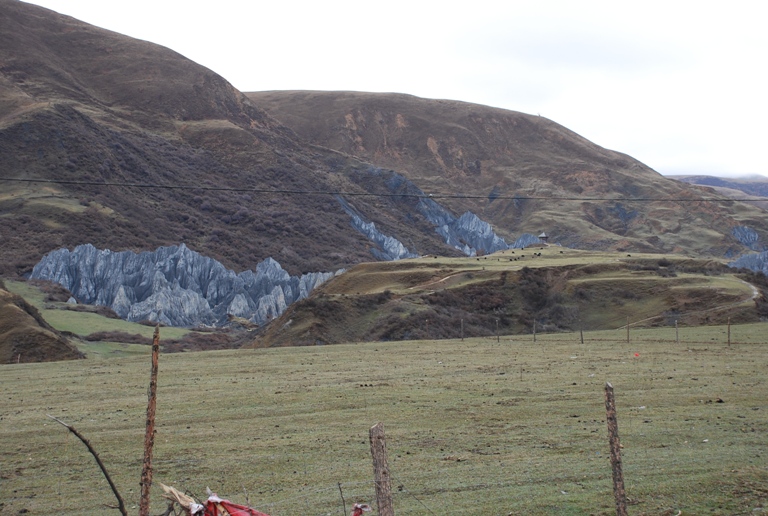DSC_0184.JPG