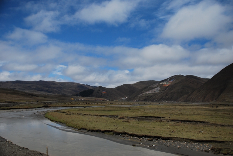 DSC_0223.JPG