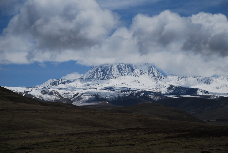 DSC_0242.JPG
