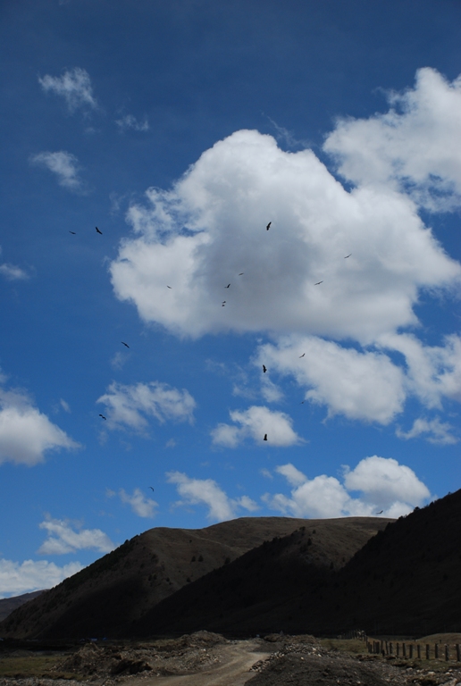 DSC_0313.JPG
