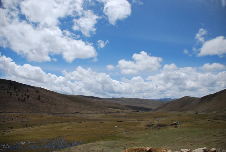 DSC_0319.JPG