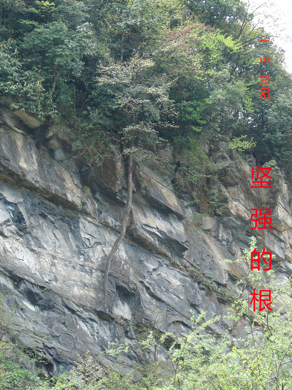 DSC09292.JPG