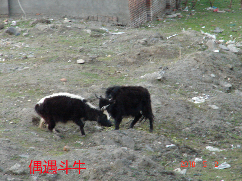DSC09586.JPG