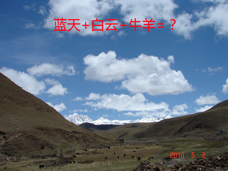 DSC09513.JPG