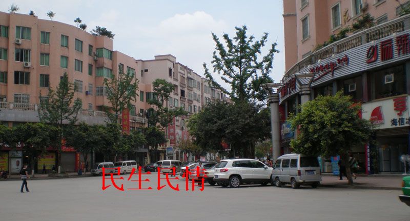 137.jpg
