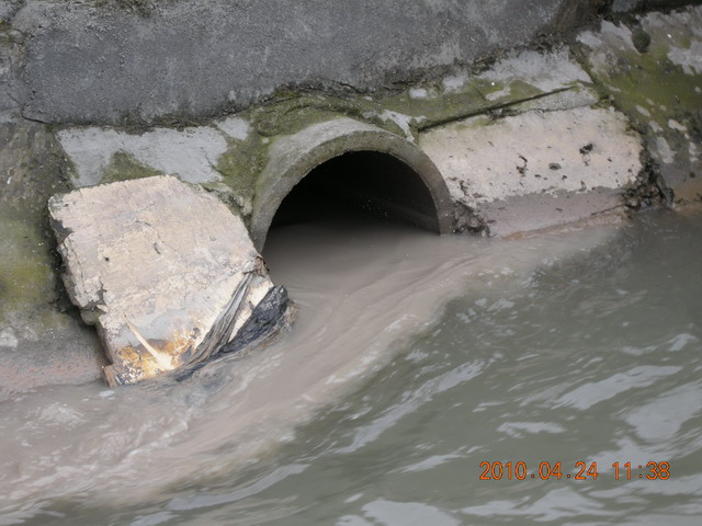 DSCN3667.JPG