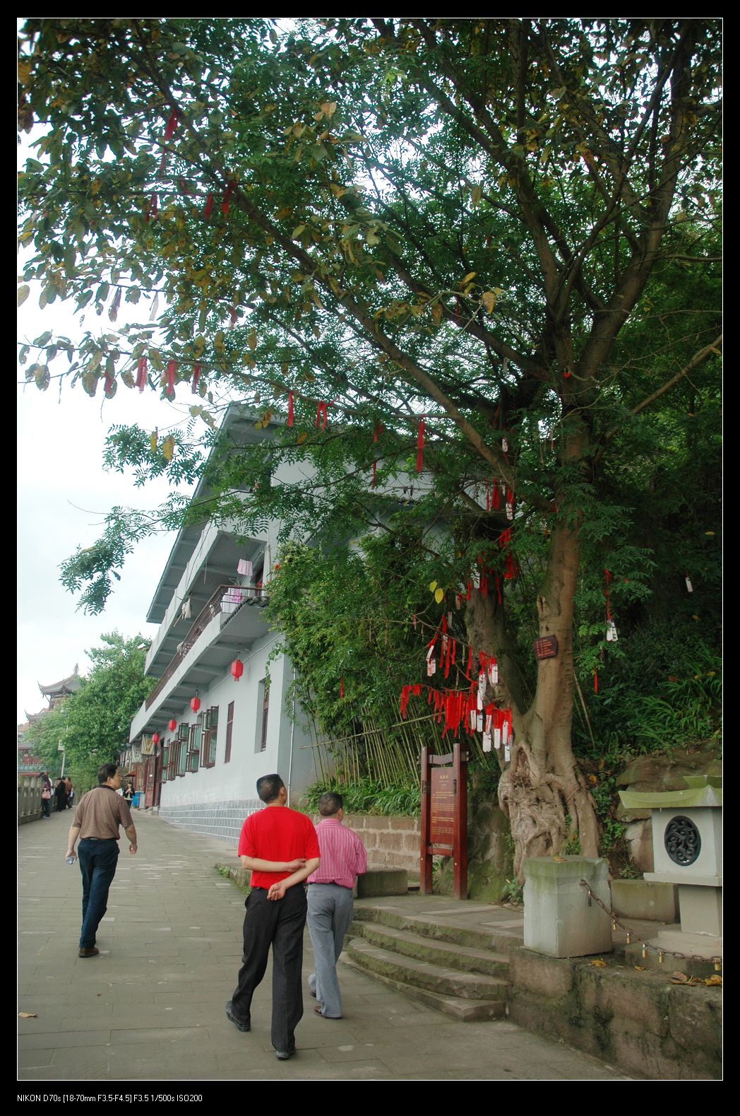201058 003.jpg