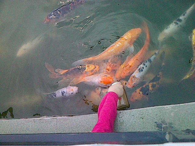 20100502_003.jpg