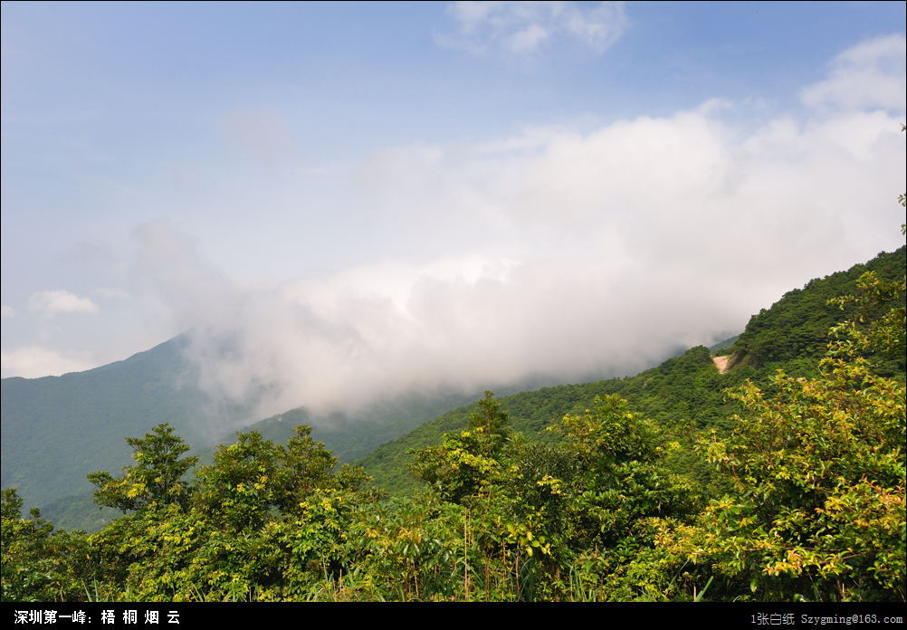 DSC_1491.jpg