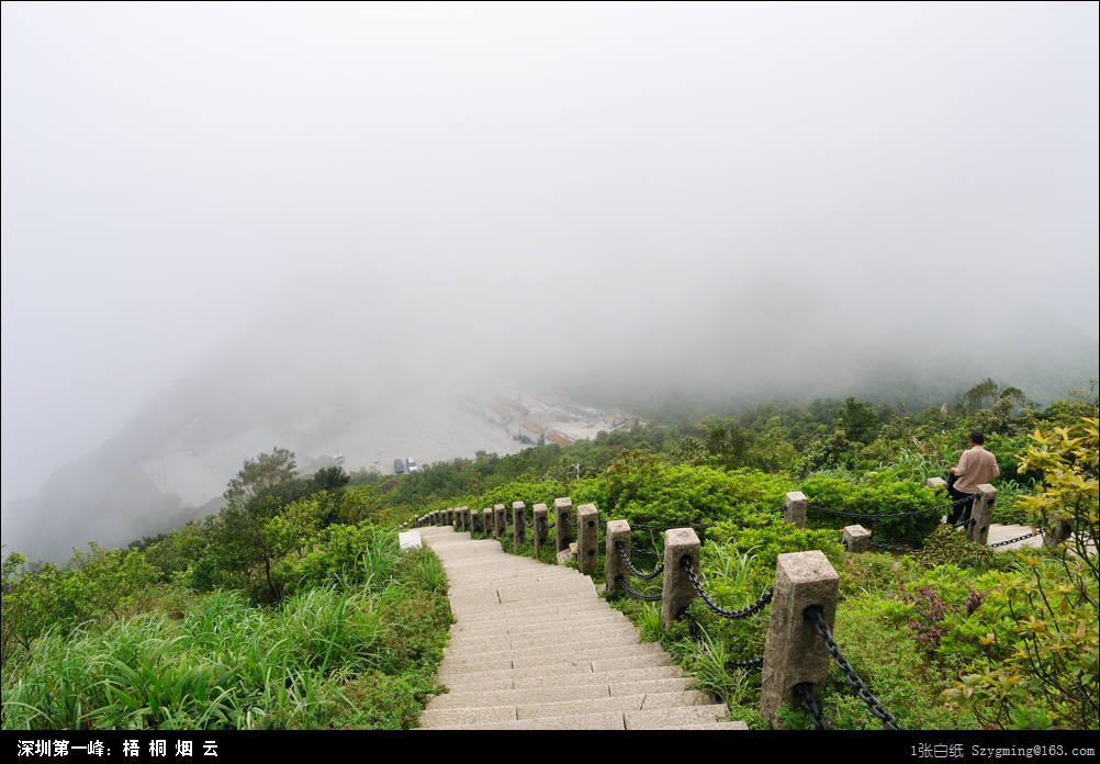 DSC_1532.jpg