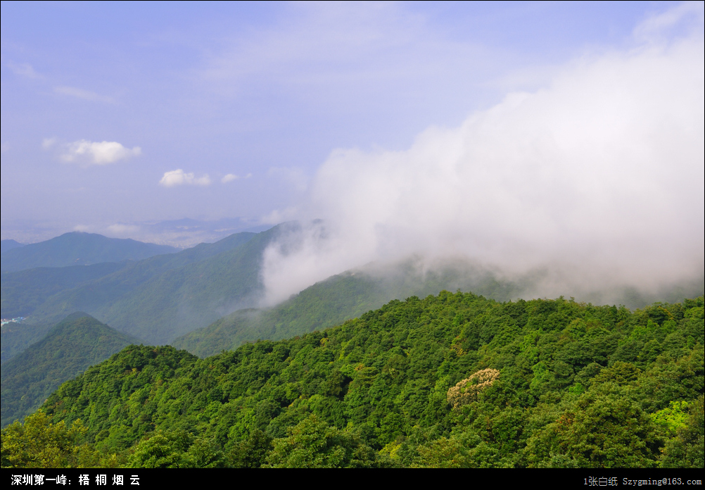 DSC_1509.jpg