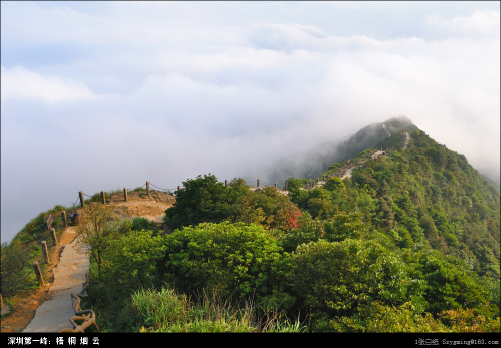 DSC_1557.jpg