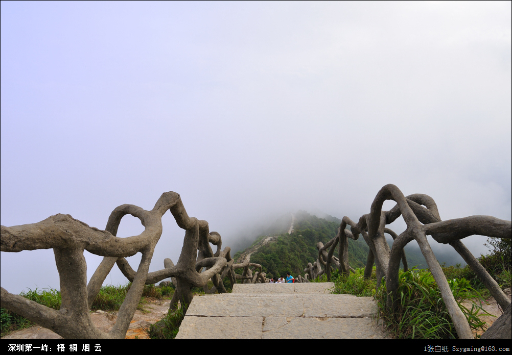DSC_1562.jpg