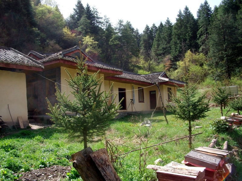 SANY0445-1.jpg