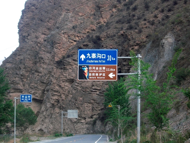 SANY0427--1.jpg