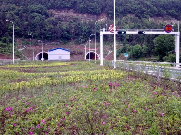 05.jpg
