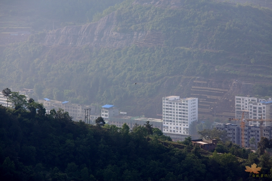 05.JPG