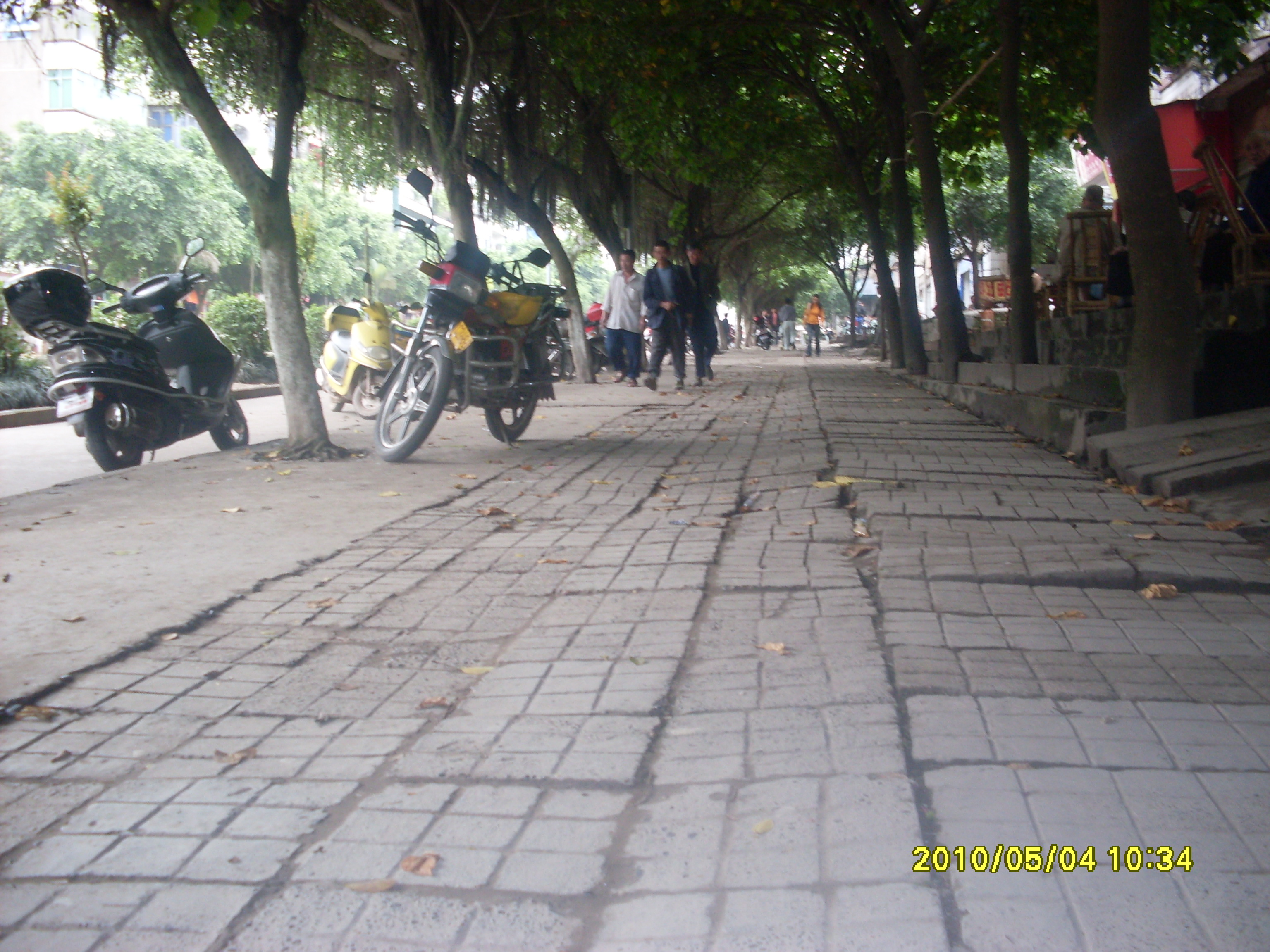 SDC11659.JPG