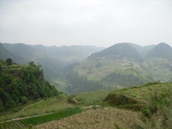 39.jpg