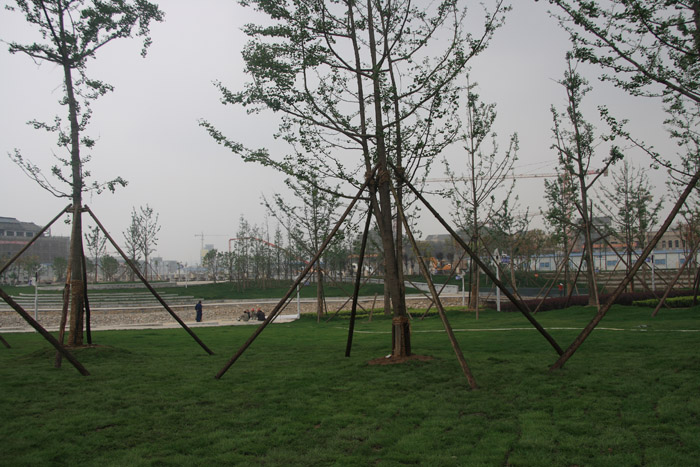 bc125.jpg