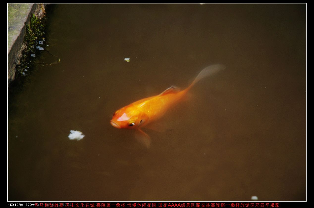 2010511ٽƬ 156.jpg