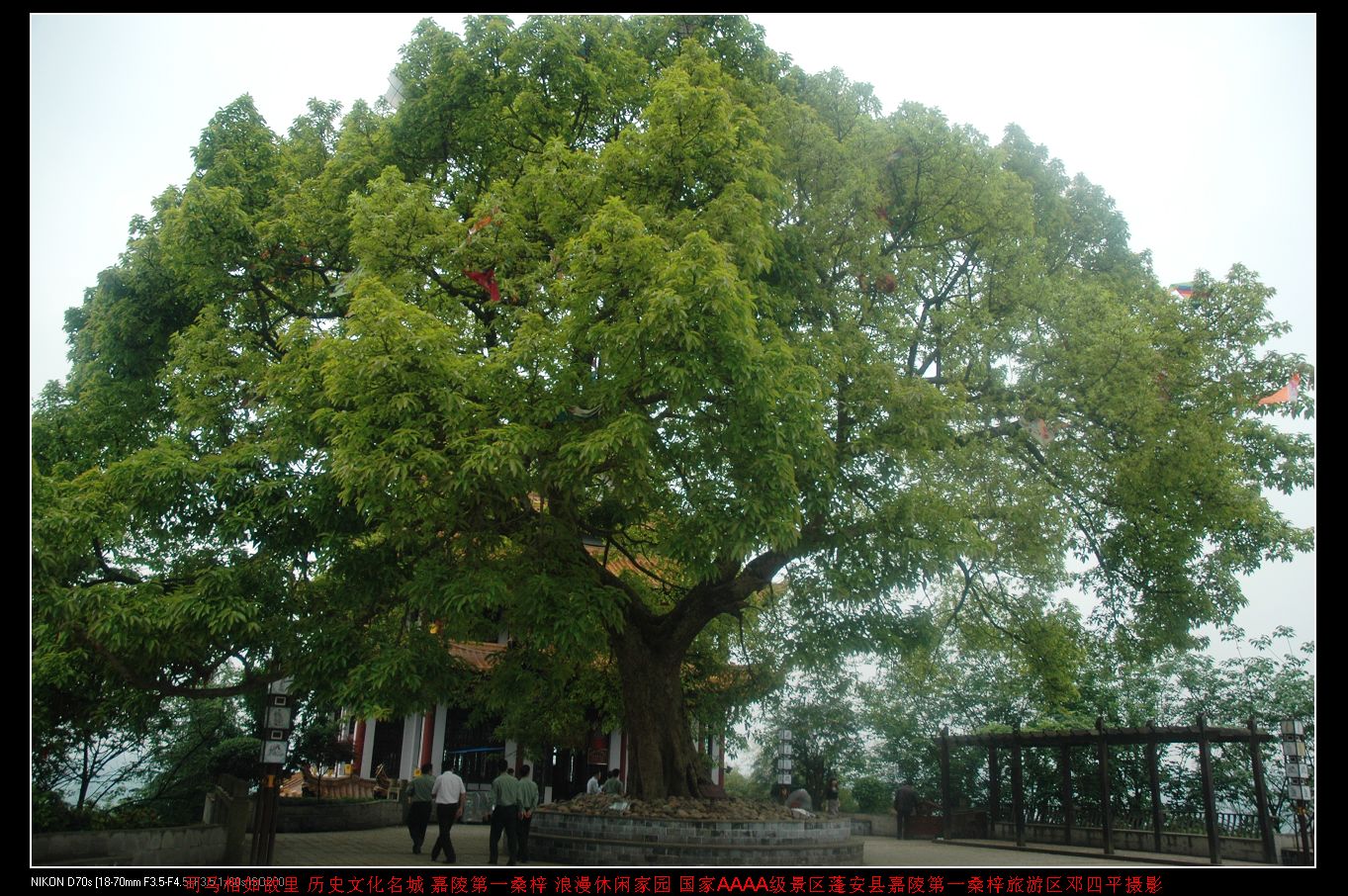 2010511ٽƬ 156.jpg