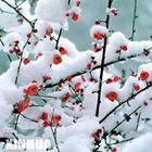 u=2283523945,493719157&fm=2&gp=0.jpg