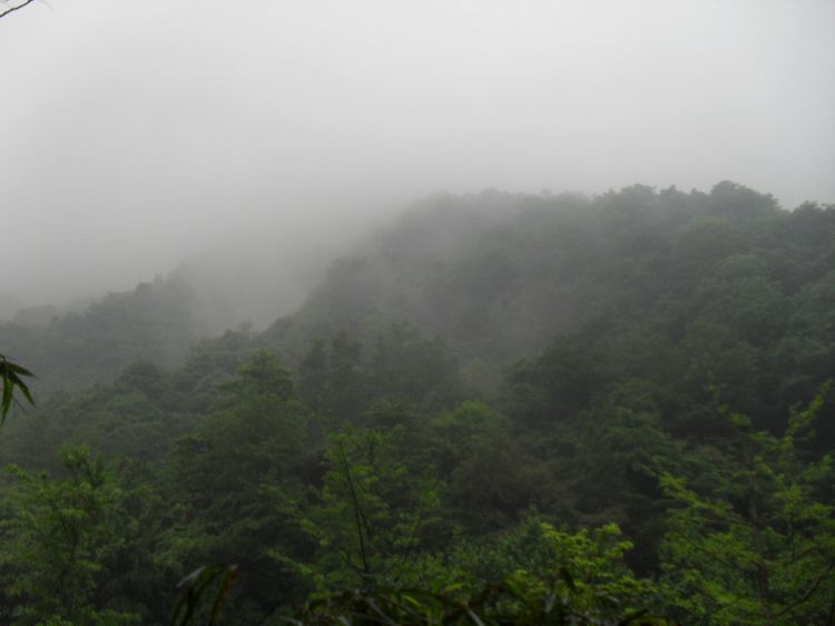 SDC10347.JPG