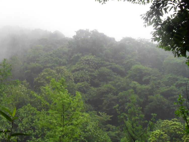 SDC10348.JPG