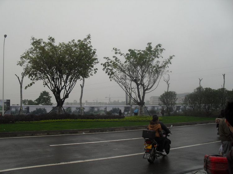 SDC10358.JPG