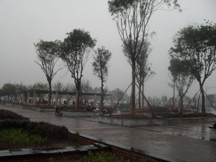 SDC10350.JPG