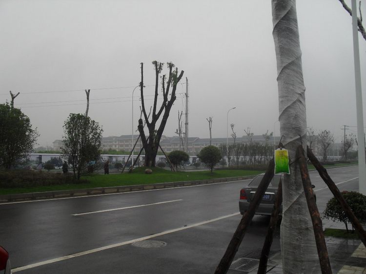 SDC10359.JPG