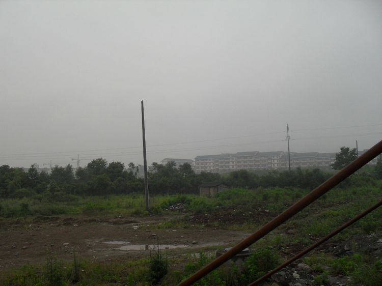 SDC10361.JPG