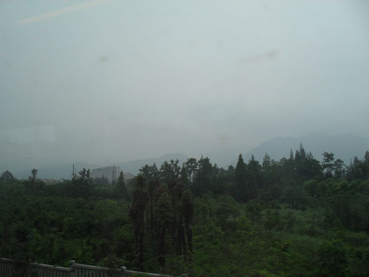 SDC10419.JPG