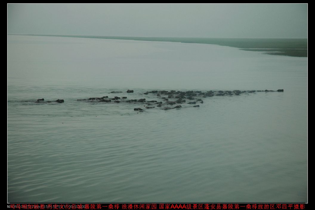 2010513հţɽʳǿƬ 002.jpg