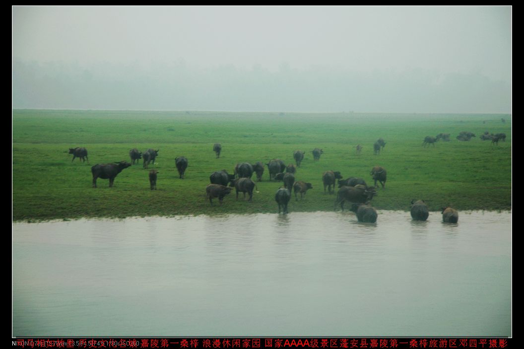 2010513հţɽʳǿƬ 002.jpg