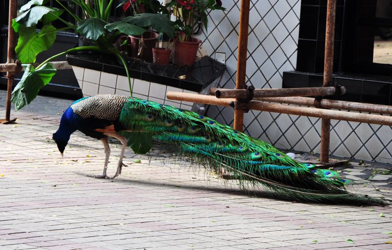 DSC_1389.JPG