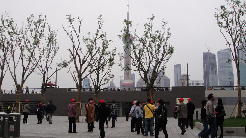 DSC01183.jpg