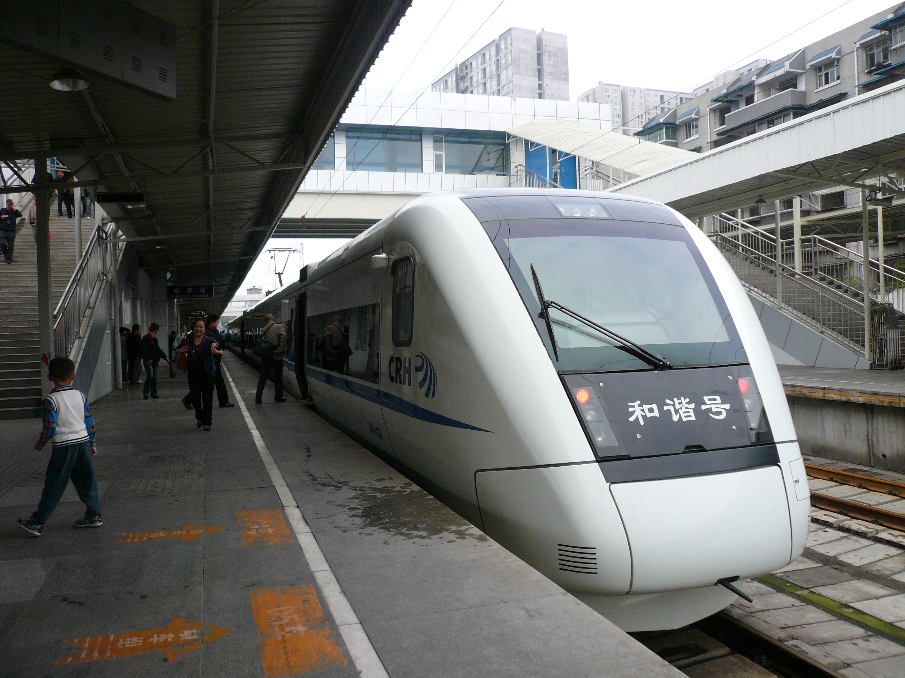 P1100055.JPG
