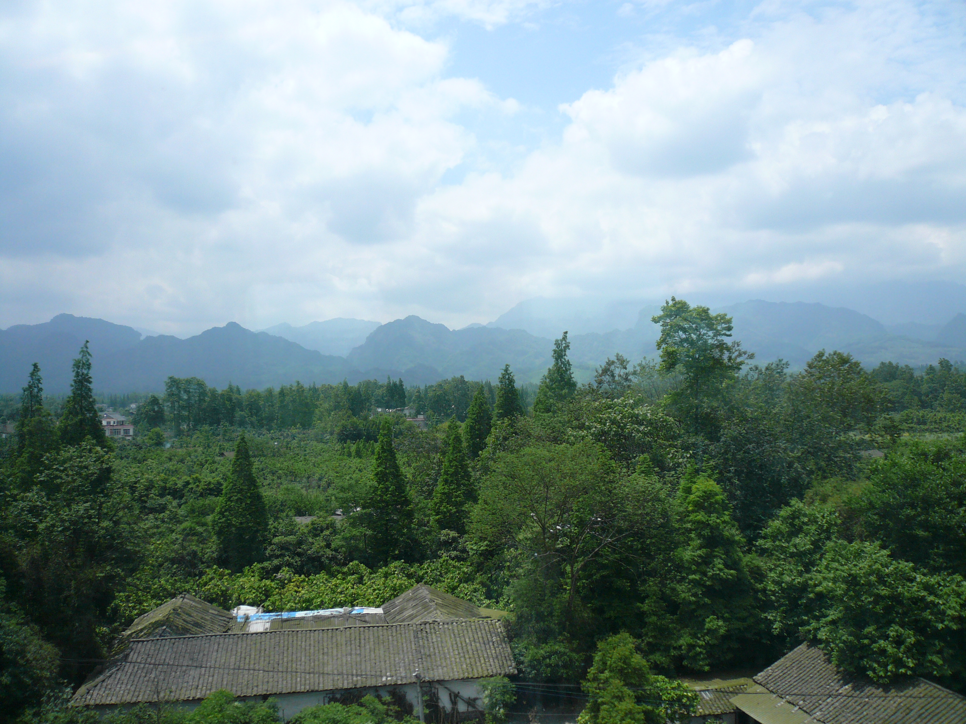 P1100088.JPG
