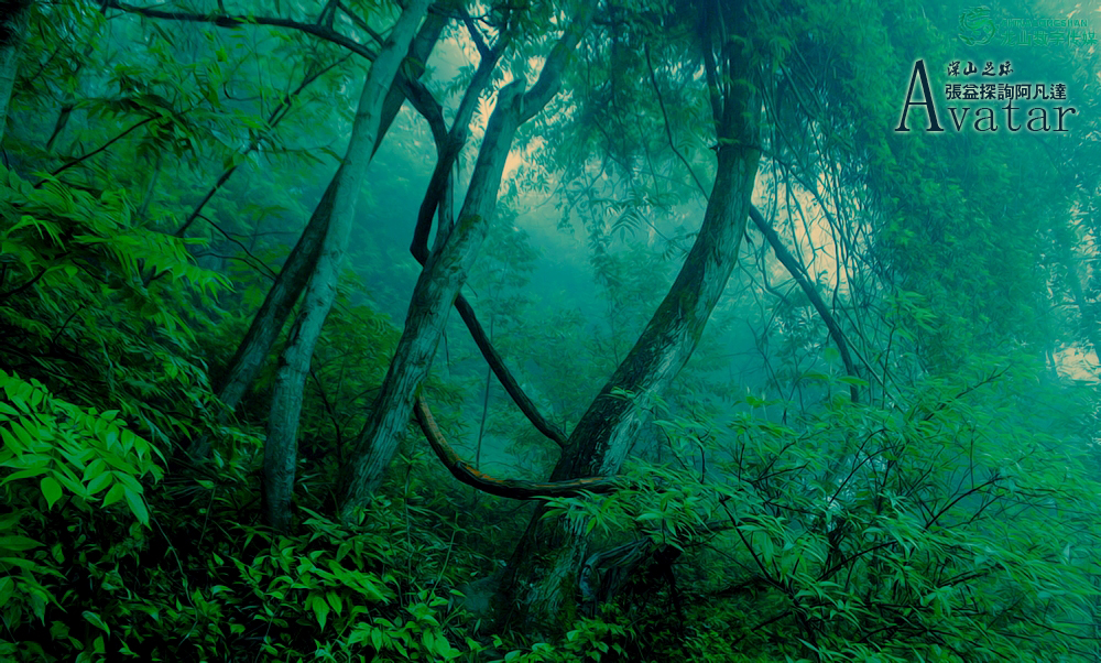 Ƭ 002.jpg