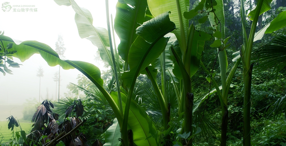 Ƭ 044.jpg