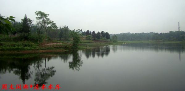 DSC06403.jpg
